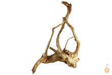 Lade das Bild in den Galerie-Viewer, Spiderwood Nr.116 | 20x24x14cm (BxHxT)