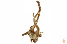 Lade das Bild in den Galerie-Viewer, Spiderwood Nr.116 | 20x24x14cm (BxHxT)