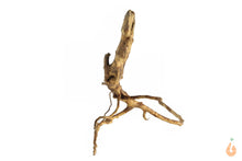 Lade das Bild in den Galerie-Viewer, Spiderwood Nr.117 | 20x18x16cm (BxHxT)