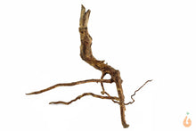 Lade das Bild in den Galerie-Viewer, Spiderwood Nr.117 | 20x18x16cm (BxHxT)