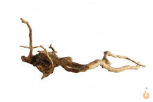 Lade das Bild in den Galerie-Viewer, Moorwurzel Nr.118 | 20x9x15cm (BxHxT)