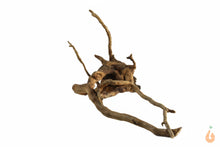 Lade das Bild in den Galerie-Viewer, Moorwurzel Nr.118 | 20x9x15cm (BxHxT)