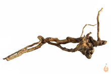 Lade das Bild in den Galerie-Viewer, Moorwurzel Nr.118 | 20x9x15cm (BxHxT)
