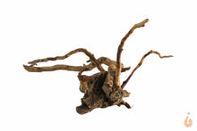 Lade das Bild in den Galerie-Viewer, Moorwurzel Nr.118 | 20x9x15cm (BxHxT)
