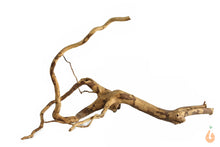 Lade das Bild in den Galerie-Viewer, Spiderwood Nr.119 | 21x12x15cm (BxHxT)