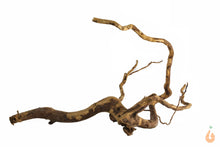 Lade das Bild in den Galerie-Viewer, Spiderwood Nr.119 | 21x12x15cm (BxHxT)