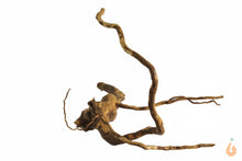 Lade das Bild in den Galerie-Viewer, Spiderwood Nr.119 | 21x12x15cm (BxHxT)