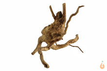 Lade das Bild in den Galerie-Viewer, Moorwurzel Nr.120 | 25x12x14cm (BxHxT)