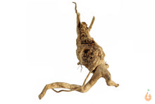 Lade das Bild in den Galerie-Viewer, Moorwurzel Nr.120 | 25x12x14cm (BxHxT)