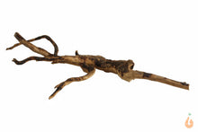 Lade das Bild in den Galerie-Viewer, Moorwurzel Nr.121 | 26x6x20cm (BxHxT)