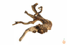 Lade das Bild in den Galerie-Viewer, Moorwurzel Nr.121 | 26x6x20cm (BxHxT)