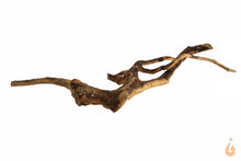 Lade das Bild in den Galerie-Viewer, Moorwurzel Nr.121 | 26x6x20cm (BxHxT)