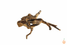 Lade das Bild in den Galerie-Viewer, Moorwurzel Nr.121 | 26x6x20cm (BxHxT)