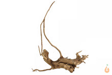 Lade das Bild in den Galerie-Viewer, Moorwurzel Nr.122 | 19x22x12cm (BxHxT)