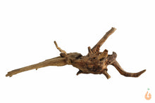 Lade das Bild in den Galerie-Viewer, Spiderwood Nr.123 | 27x10x15cm (BxHxT)