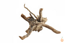 Lade das Bild in den Galerie-Viewer, Spiderwood Nr.123 | 27x10x15cm (BxHxT)