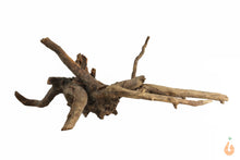 Lade das Bild in den Galerie-Viewer, Spiderwood Nr.123 | 27x10x15cm (BxHxT)