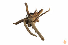 Lade das Bild in den Galerie-Viewer, Spiderwood Nr.123 | 27x10x15cm (BxHxT)