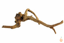Lade das Bild in den Galerie-Viewer, Moorwurzel Nr.124 | 24x8x12cm (BxHxT)