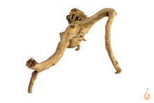 Lade das Bild in den Galerie-Viewer, Moorwurzel Nr.124 | 24x8x12cm (BxHxT)