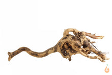 Lade das Bild in den Galerie-Viewer, Moorwurzel Nr.126 | 23x6x13cm (BxHxT)