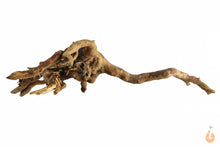 Lade das Bild in den Galerie-Viewer, Moorwurzel Nr.126 | 23x6x13cm (BxHxT)
