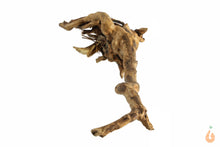 Lade das Bild in den Galerie-Viewer, Moorwurzel Nr.126 | 23x6x13cm (BxHxT)