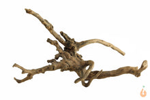 Lade das Bild in den Galerie-Viewer, Spiderwood Nr.127 | 19x11x12cm (BxHxT)