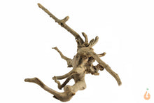 Lade das Bild in den Galerie-Viewer, Spiderwood Nr.127 | 19x11x12cm (BxHxT)