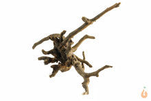 Lade das Bild in den Galerie-Viewer, Spiderwood Nr.127 | 19x11x12cm (BxHxT)