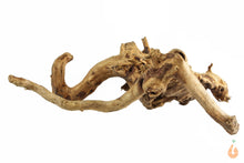 Lade das Bild in den Galerie-Viewer, Moorwurzel Nr.128 | 18x7x15cm (BxHxT)