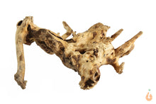Lade das Bild in den Galerie-Viewer, Moorwurzel Nr.128 | 18x7x15cm (BxHxT)