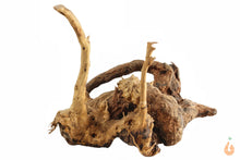 Lade das Bild in den Galerie-Viewer, Moorwurzel Nr.129 | 15x12x12cm (BxHxT)