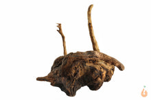 Lade das Bild in den Galerie-Viewer, Moorwurzel Nr.129 | 15x12x12cm (BxHxT)