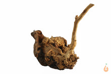 Lade das Bild in den Galerie-Viewer, Moorwurzel Nr.129 | 15x12x12cm (BxHxT)