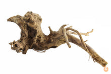 Lade das Bild in den Galerie-Viewer, Spiderwood Nr.130 | 19x8x16cm (BxHxT)