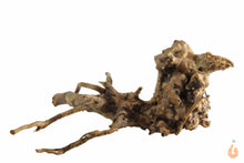 Lade das Bild in den Galerie-Viewer, Spiderwood Nr.130 | 19x8x16cm (BxHxT)