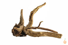 Lade das Bild in den Galerie-Viewer, Spiderwood Nr.131 | 17x10x15cm (BxHxT)