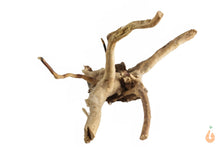 Lade das Bild in den Galerie-Viewer, Spiderwood Nr.131 | 17x10x15cm (BxHxT)