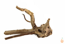 Lade das Bild in den Galerie-Viewer, Spiderwood Nr.131 | 17x10x15cm (BxHxT)