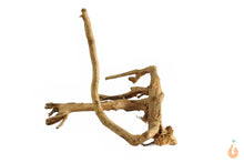 Lade das Bild in den Galerie-Viewer, Moorwurzel Nr.132 | 19x14x16cm (BxHxT)