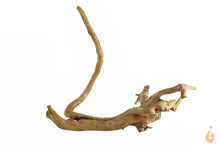 Lade das Bild in den Galerie-Viewer, Moorwurzel Nr.132 | 19x14x16cm (BxHxT)