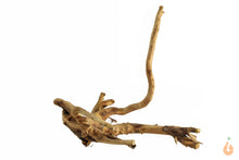 Lade das Bild in den Galerie-Viewer, Moorwurzel Nr.132 | 19x14x16cm (BxHxT)