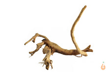 Lade das Bild in den Galerie-Viewer, Moorwurzel Nr.132 | 19x14x16cm (BxHxT)