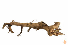 Lade das Bild in den Galerie-Viewer, Moorwurzel Nr.133 | 17x5x11cm (BxHxT)