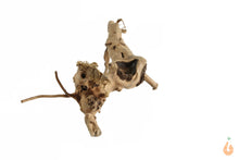 Lade das Bild in den Galerie-Viewer, Moorwurzel Nr.133 | 17x5x11cm (BxHxT)