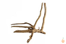 Lade das Bild in den Galerie-Viewer, Spiderwood Nr.134 | 18x15x14cm (BxHxT)