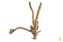 Lade das Bild in den Galerie-Viewer, Spiderwood Nr.134 | 18x15x14cm (BxHxT)