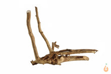 Lade das Bild in den Galerie-Viewer, Spiderwood Nr.134 | 18x15x14cm (BxHxT)