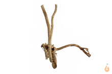 Lade das Bild in den Galerie-Viewer, Spiderwood Nr.134 | 18x15x14cm (BxHxT)